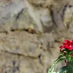 Appartamenti Mater Nel Centro Storico E Pedonale Di Novigrad *