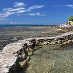 아파트 Appartamenti Mater Nel Centro Storico E Pedonale Di Novigrad