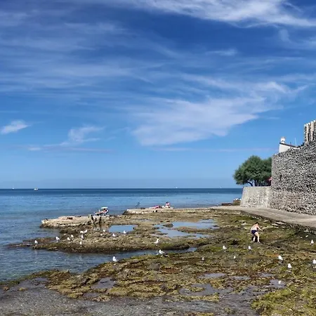 Appartamenti Mater Nel Centro Storico E Pedonale Di Novigrad 아파트 Novigrad Istria